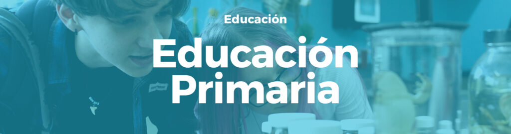 Primaria